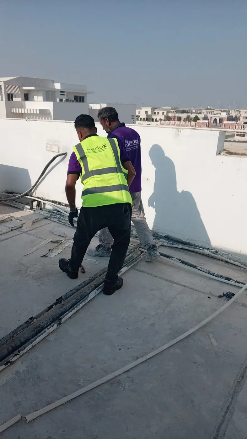Site inspection before works — PEDOX site photograph